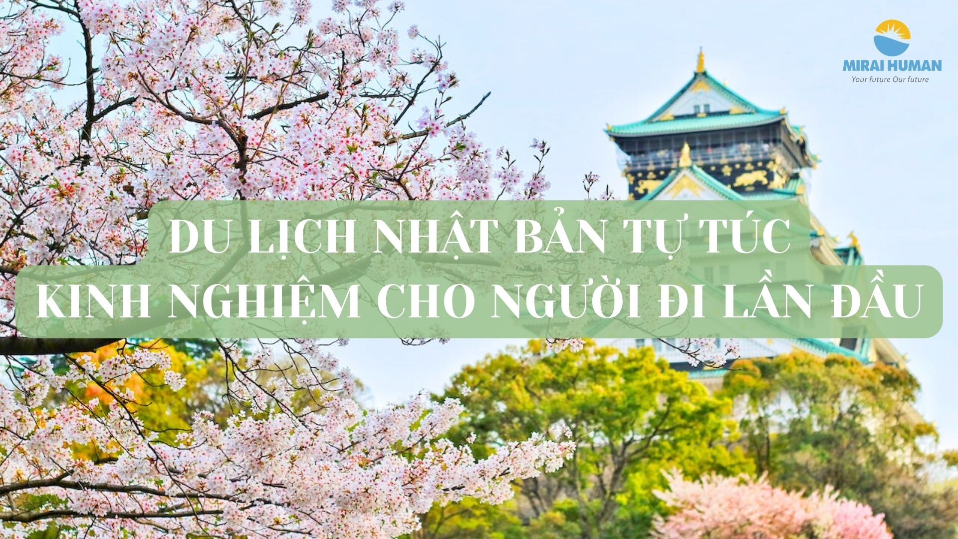 lao động Nhật Bản